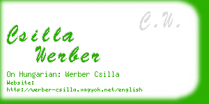csilla werber business card